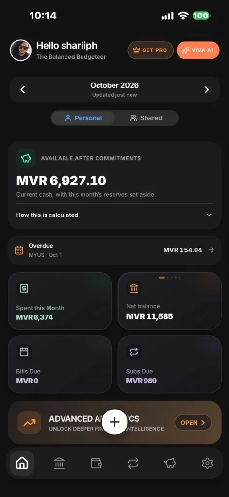 Viva dashboard preview with sample account balances and expenses